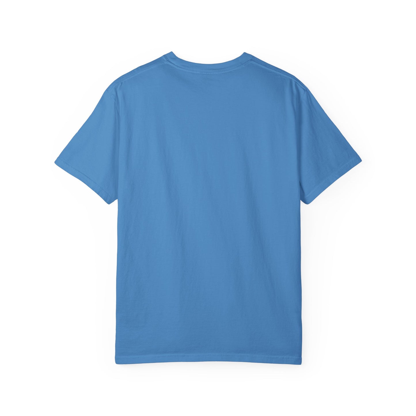 Lions Fan Beer T-shirt